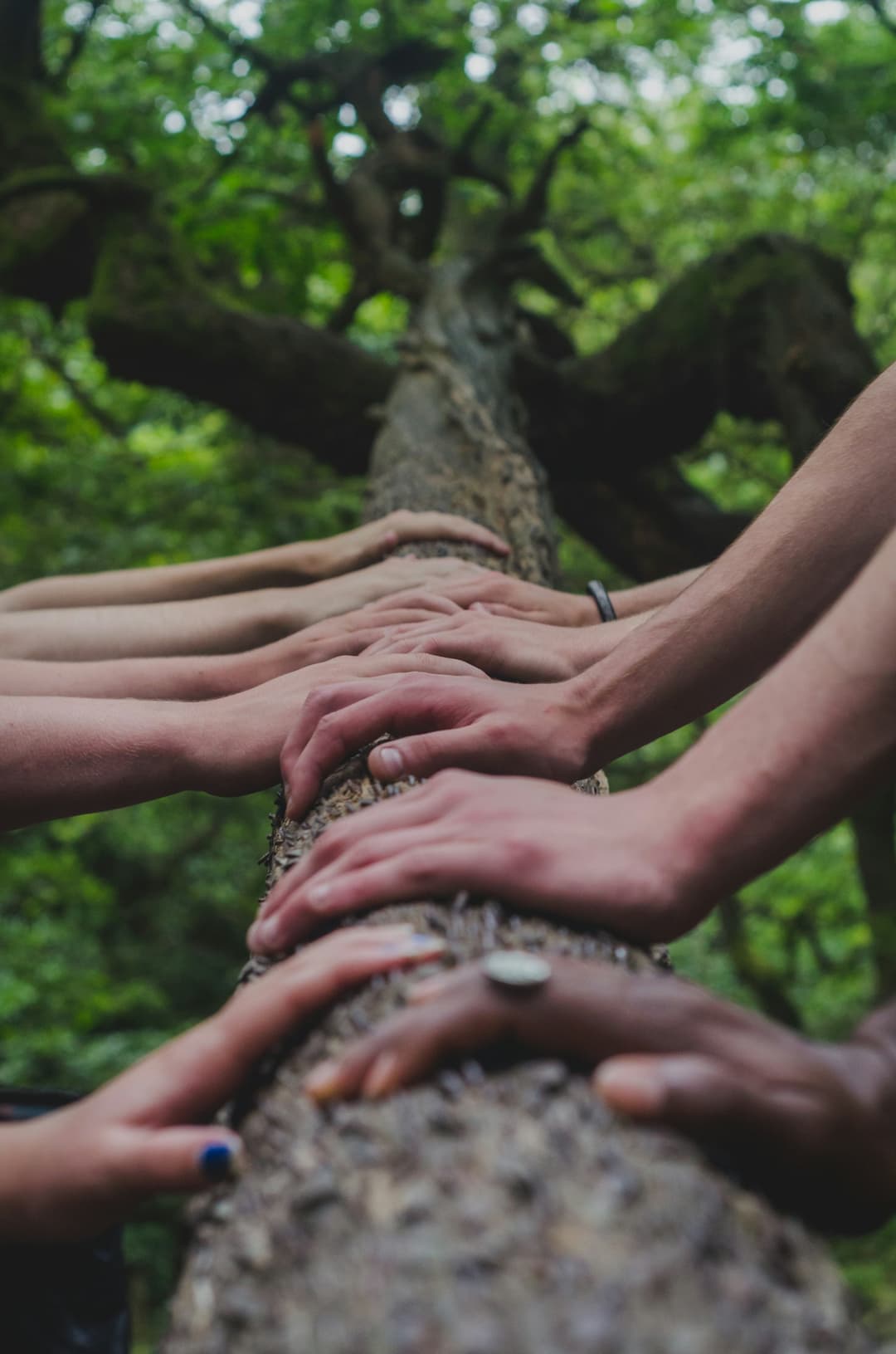 Deep Hand Pruning